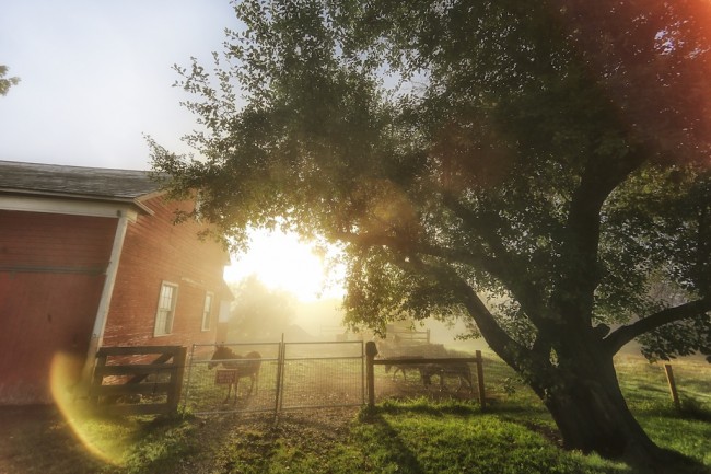 Outed Running Naked In The Fog Bedlam Farm