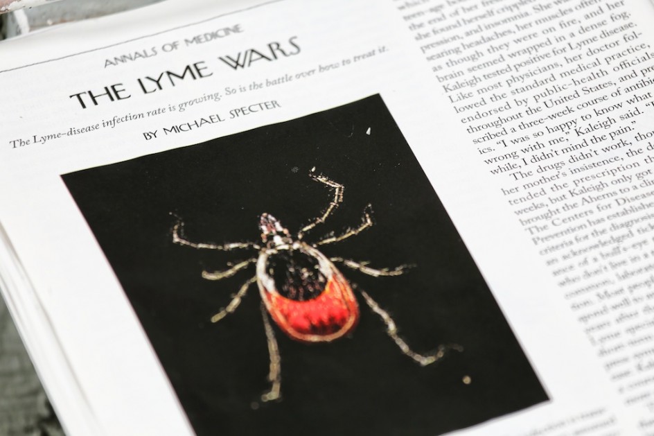 Lyme Apocalypse