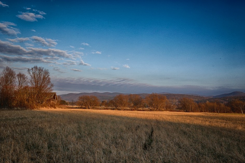 Barn In A Cornfield, Dusk