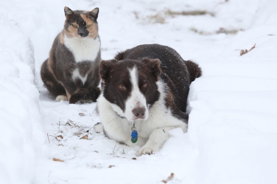 Storm Watchers