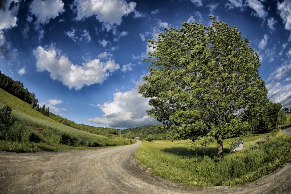 Perry's Apple Orchard