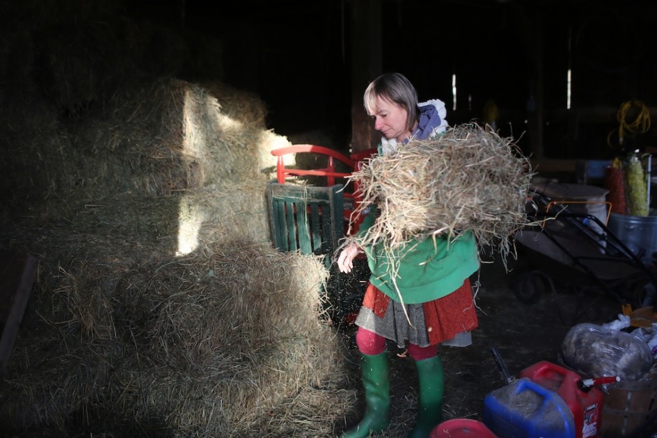 Hay Time: The Barn Artists