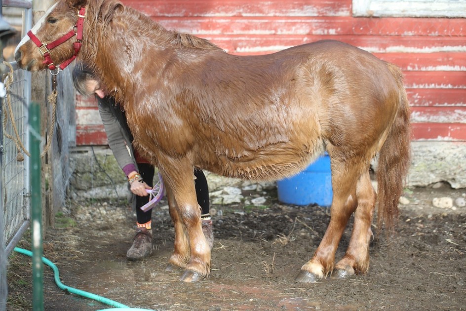 Washing Chloe