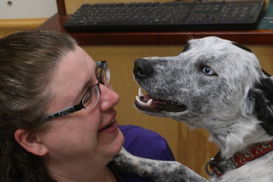 Fate At The Vets