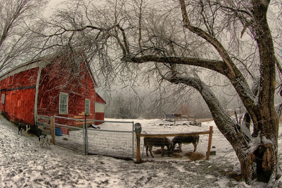 Ice Storms