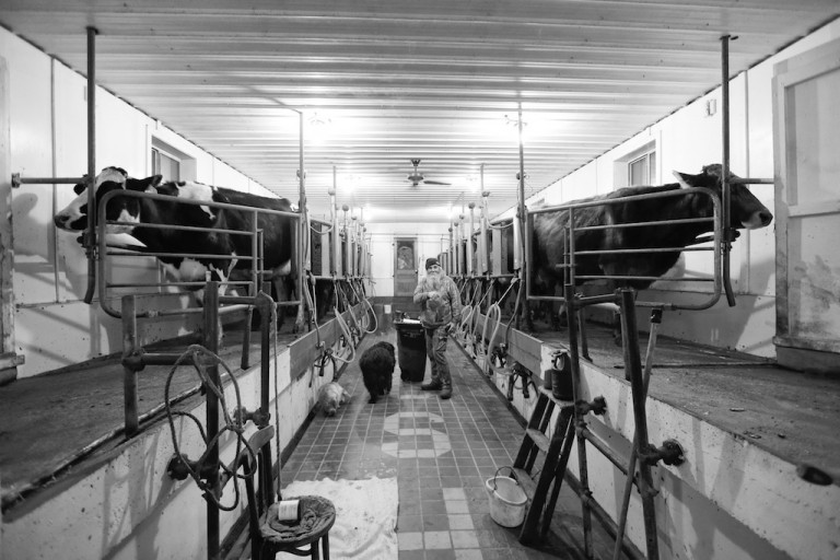 Milking Parlor: Bejosh Farm. The Good And Hard Life - Bedlam Farm