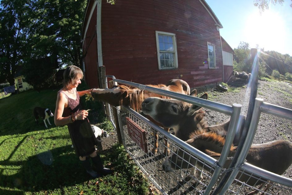 Farm Chore Fashion