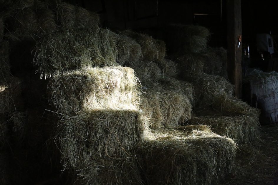 Barn Ghost