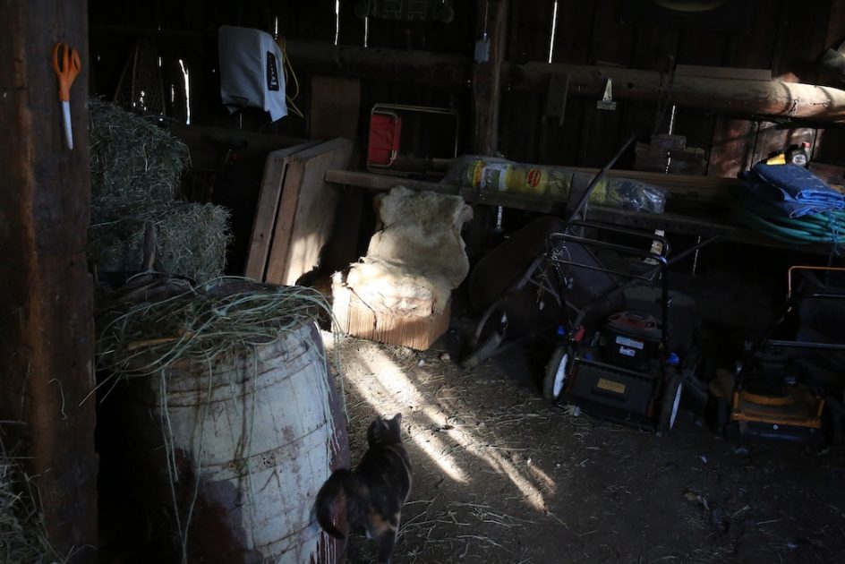 Barn Light, Barn Art