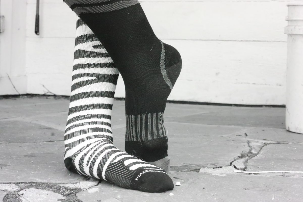 colorful-socks-in-black-and-white-bedlam-farm