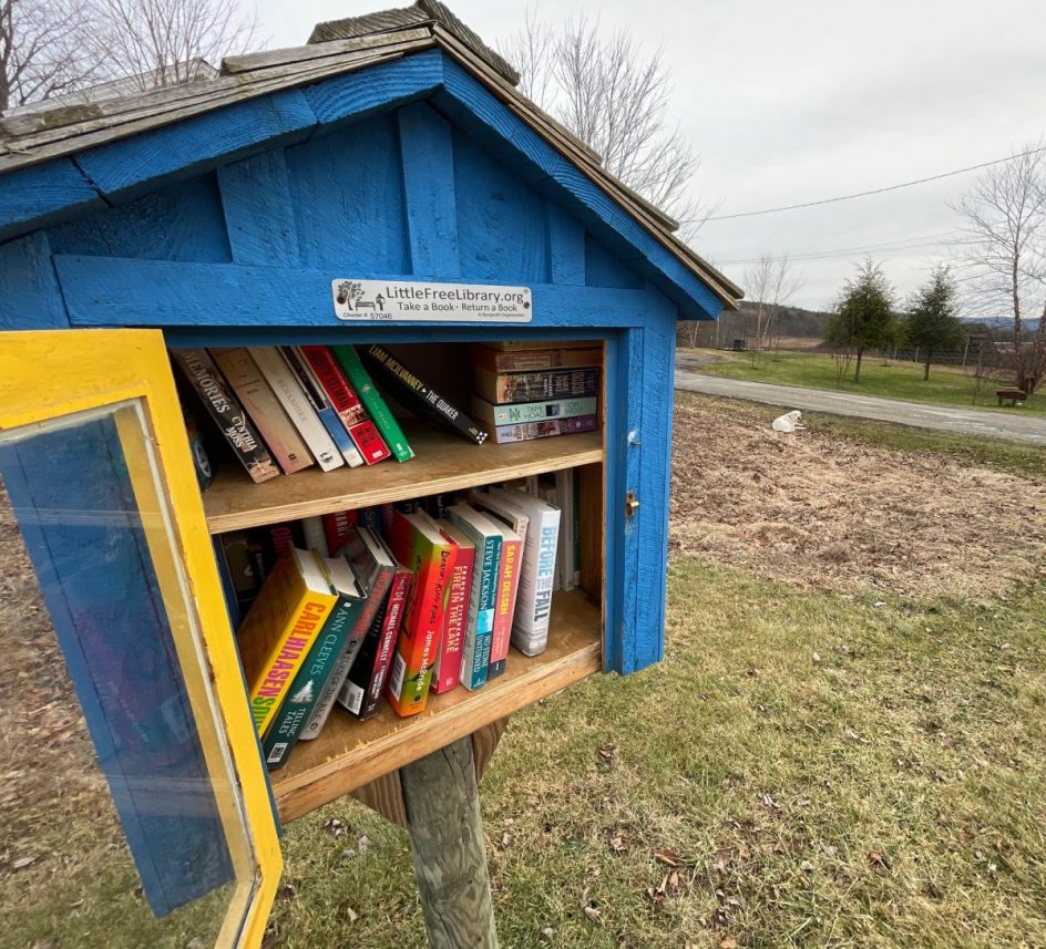 littlefree library