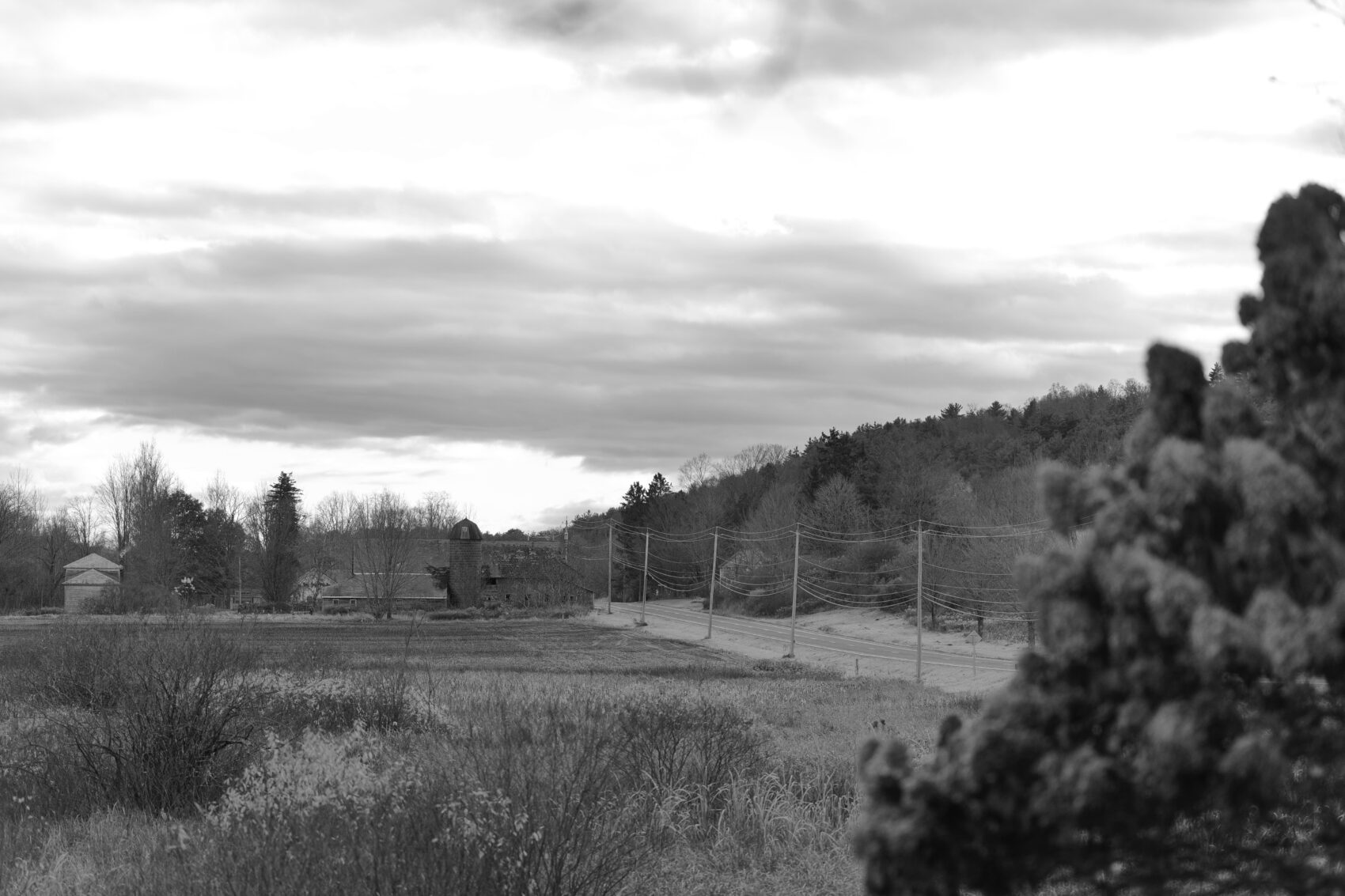 November Sky, Sunday, November 12, 2023 Bedlam Farm