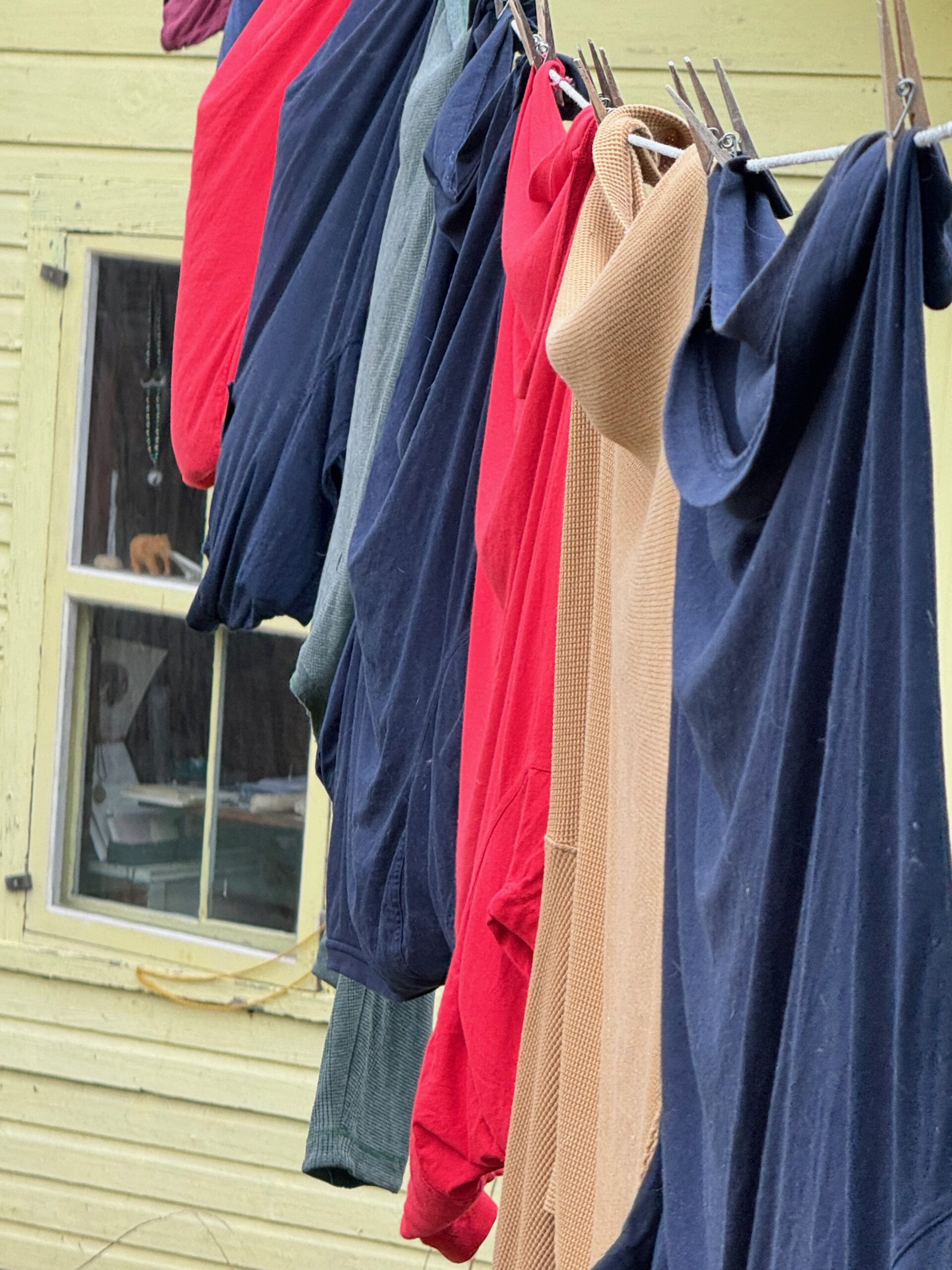 Hail The Humble Clothesline. One Of My Favorite Weekly Photographs - Bedlam  Farm