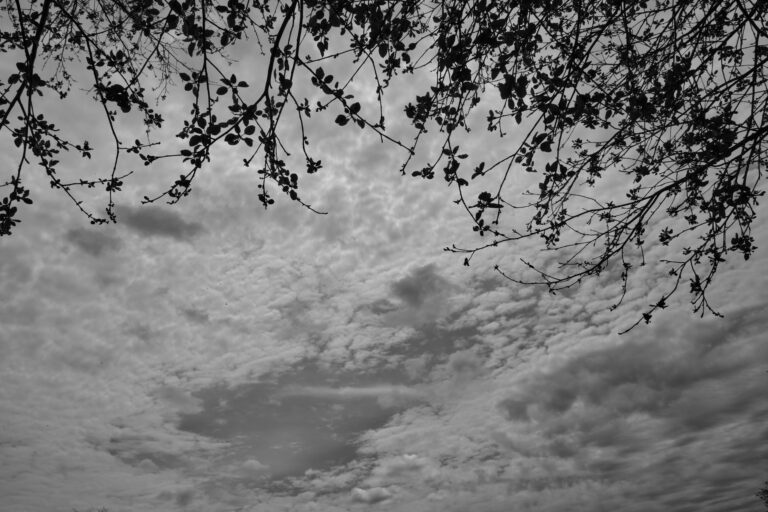 Two Images, Dusk, Monochrome - Bedlam Farm